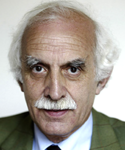 Morrelen aan de parlementaire democratie