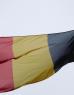 Vlag van België